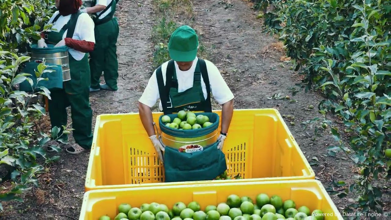 Bağçılıq və soyuducu anbar kompleksi